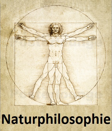 Leonardo und die Naturphilosophie 1 - Der vitruvianische Mensch